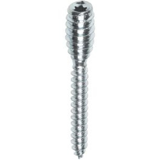 [42106441] Woodies Ultimate afstandschroef Ø6,0 mm Torx TX25 verzinkt (60 mm)