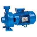 Speroni CFM 150 BR centrifugaalpomp met messing waaier, 230 V, 1,1 kW, 400 l/min, 22 m