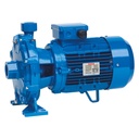 Speroni 2C 32/210 A centrifugaalpomp met dubbele waaier, 400/690 V, 9,2 kW, 300 l/min, 117 m