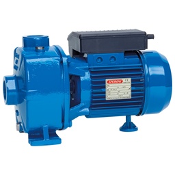 Speroni NB 150/A centrifugaalpomp met dubbele waaier, 230/400 V, 1,1 kW, 125 l/min, 46 m