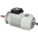 Huvema Motor | MTR HU 250 DV, 400V